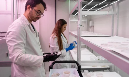 CapGen Seeds da un salto cualitativo en I+D agrario con la apertura de su nuevo laboratorio de biología molecular