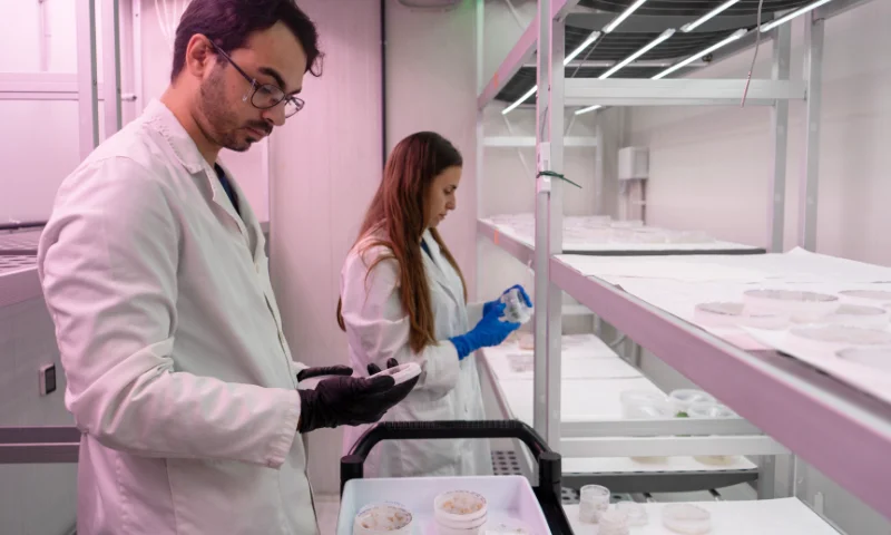CapGen Seeds da un salto cualitativo en I+D con su nuevo laboratorio de biología molecular