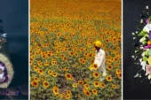 World Food Photography Awards abre inscripciones para 2027
