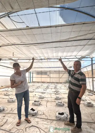 María Martín y José Mª Molina con las pantallas Harmony de Svensson / agroautentico.com
