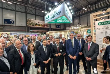 Anecoop hace bandera de España con el origen de todos sus productos