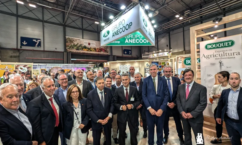 Anecoop hace bandera de España con el origen de todos sus productos
