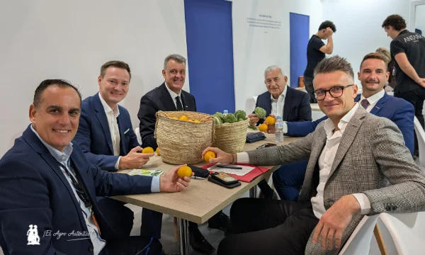 La cooperativa castellonense Benihort en FA26/ agroautentico.com
