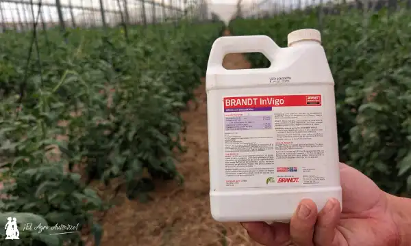 Brandt InVigo / agroautentico.com