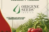 Día 29 de octubre. Jornada de pimiento de Origene Seeds
