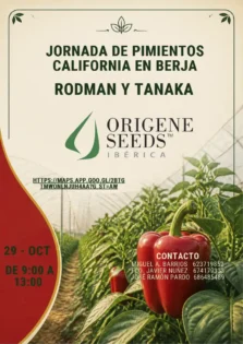 Día 29 de octubre. Jornada de pimiento de Origene Seeds