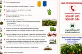 Coexphal se pone seria con el Thrips parvispinus