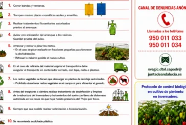 Coexphal se pone seria con el Thrips parvispinus