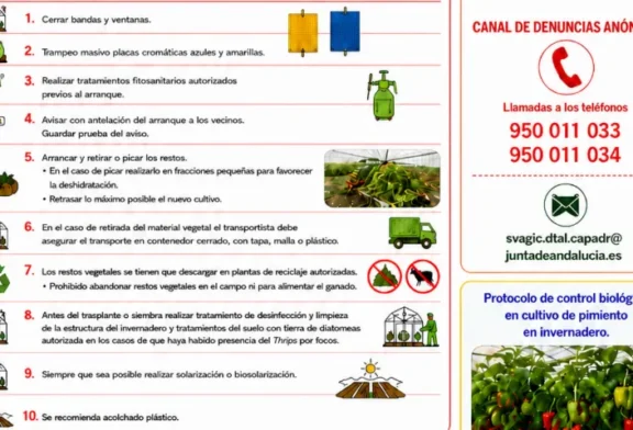 Coexphal se pone seria con el Thrips parvispinus