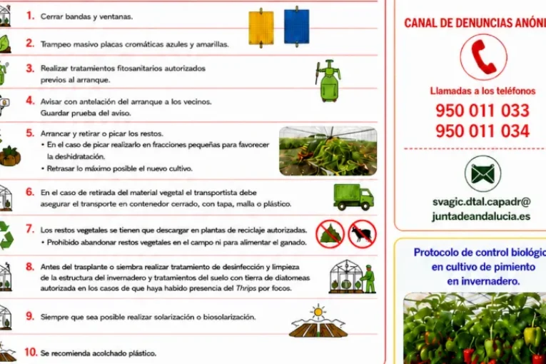 Coexphal se pone seria con el Thrips parvispinus
