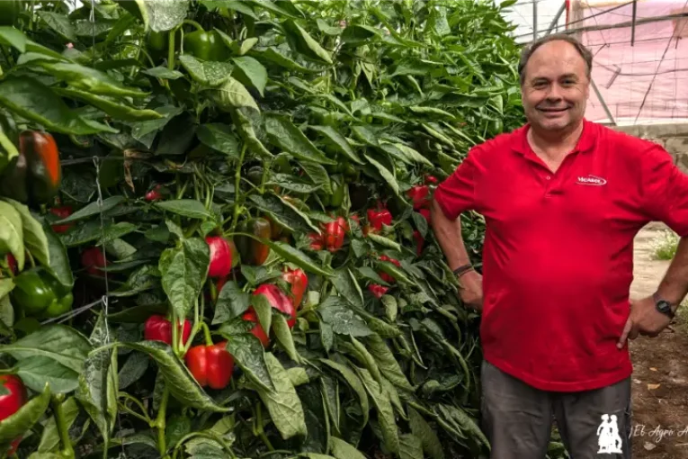 El pimiento Tygranes nace en la finca del agricultor Luis Pérez