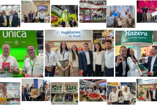 Pincelada final sobre FA26: el agro mueve más que ningún otro sector