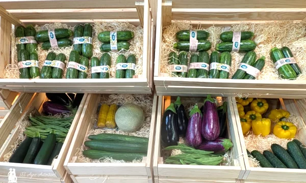 Fitó presenta en Fruit Attraction su nueva identidad y una visión global de la cadena agroalimentaria