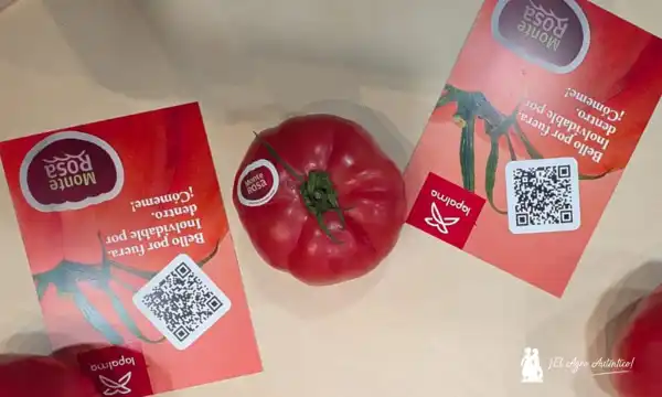 Monterosa amplía su universo con el lanzamiento de su nuevo gazpacho rosa 6