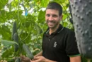 Bejo introduce un nuevo pepino francés para meses de calor