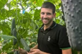 Bejo introduce un nuevo pepino francés para meses de calor