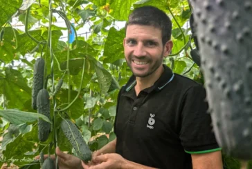 Bejo introduce un nuevo pepino francés para meses de calor
