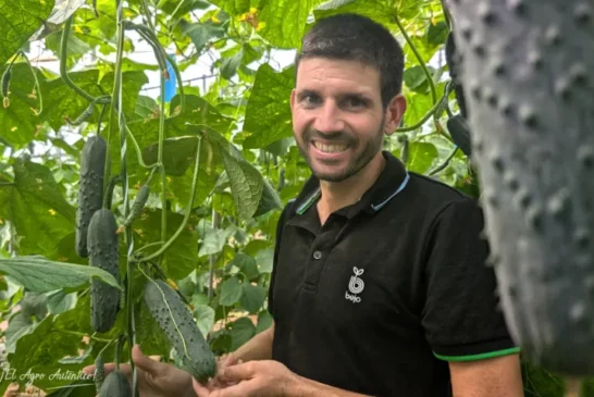 Bejo introduce un nuevo pepino francés para meses de calor