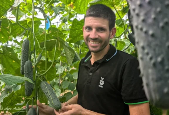 Bejo introduce un nuevo pepino francés para meses de calor