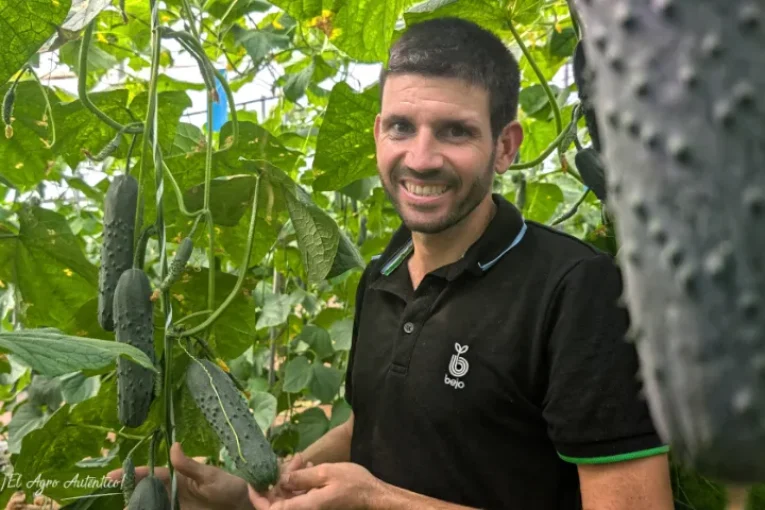 Bejo introduce un nuevo pepino francés para meses de calor