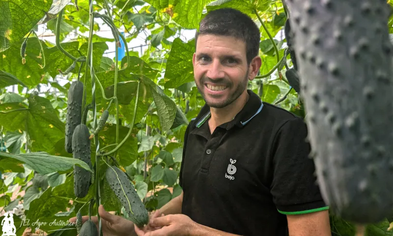 Bejo introduce un nuevo pepino francés para meses de calor