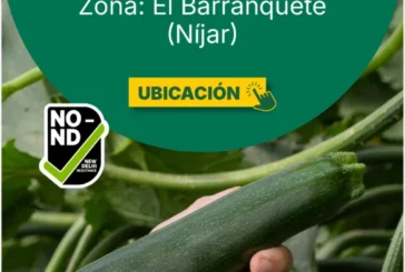 Día 15 de octubre. Jornada de calabacín Vamana de HM.Clause