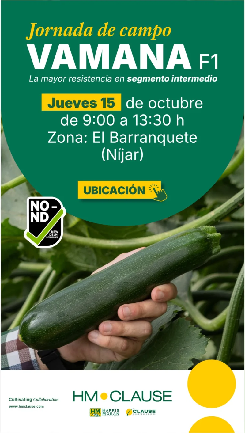 Día 15 de octubre. Jornada de calabacín Vamana de HM.Clause
