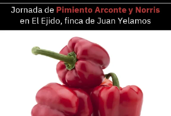 Día 27 de octubre. Jornada de pimiento de Arconte y Norris de Syngenta