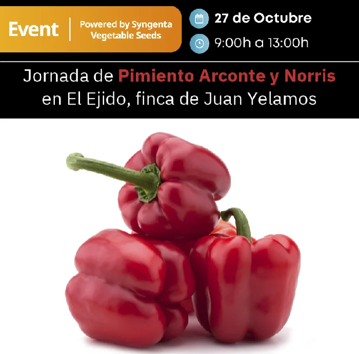 Día 27 de octubre. Jornada de pimiento de Arconte y Norris de Syngenta