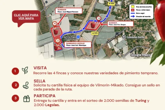 Días 21 y 22 de octubre. Jornadas de pimiento temprano de Vilmorin Mikado