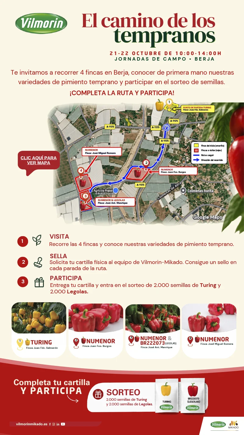 Días 21 y 22 de octubre. Jornadas de pimiento temprano de Vilmorin Mikado