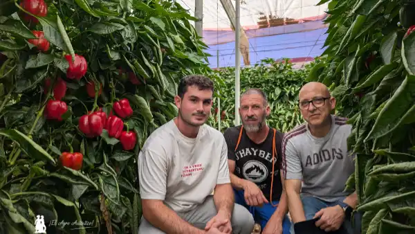 Jornadas de california rojo de Syngenta en Berja / agroautentico.com