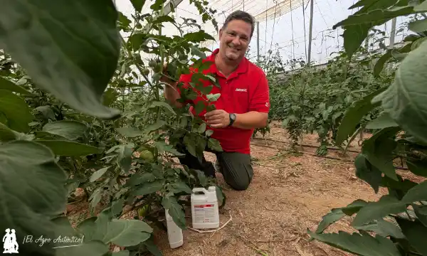 Juan Jesús Maldonado, Brandt Europe / agroautentico.com