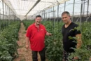 InVigo presenta su actualización como bioestimulante