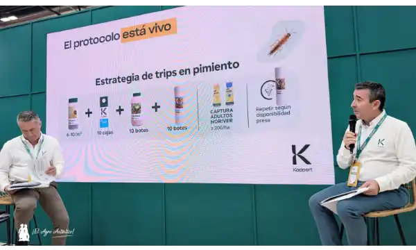 resultados de A. limonicus frente a trips y araña roja
