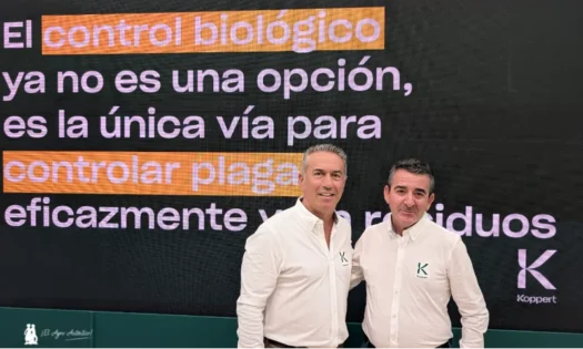 Koppert presenta en Fruit Attraction un avance de resultados sobre la eficacia del ácaro depredador A limonicus contra trips y araña roja