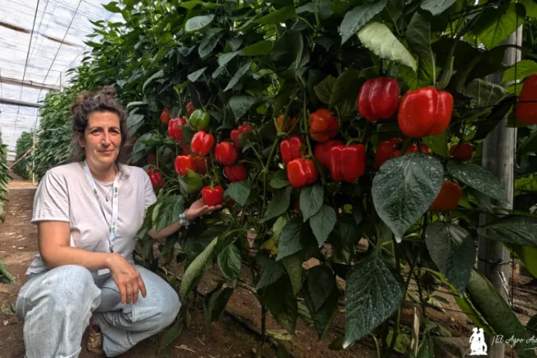Vilmorin-Mikado estrena las jornadas de campo con Legolas como novedad