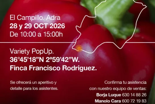 Días 28 y 29 de octubre. Jornada de pimiento de KWS