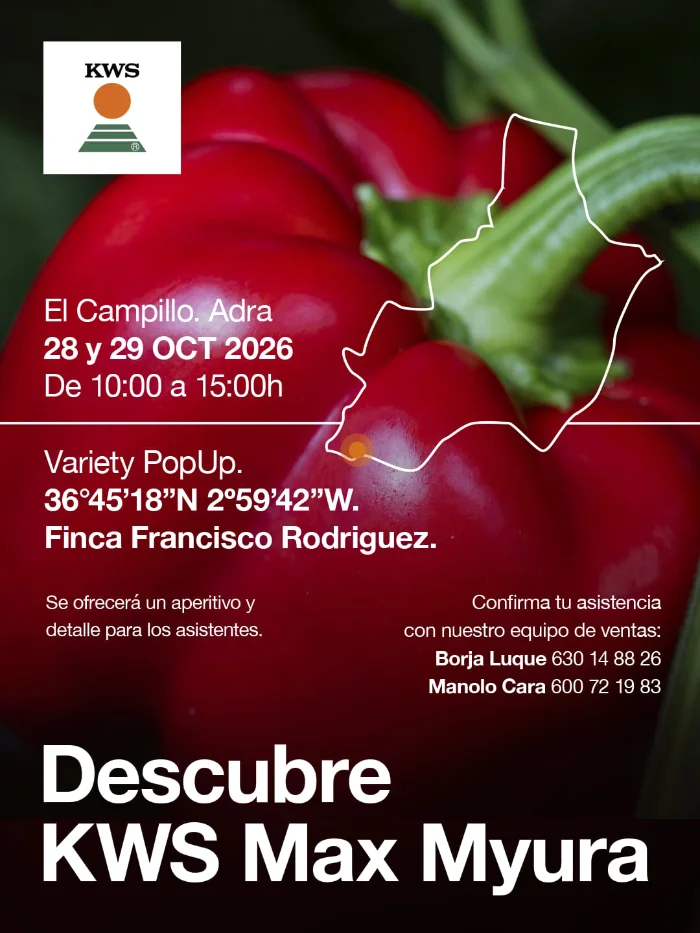Días 28 y 29 de octubre. Jornada de pimiento de KWS
