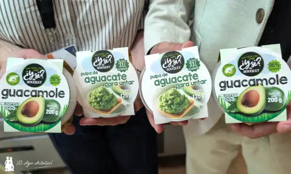 Pulpa de aguacate y guacamole de la marca ¿Ysi? de Anecoop / agroautentico.com