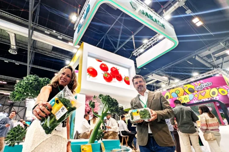 Bimi y Love Klabaza enamoran al retail y ahora también Japi, Saiko y Chocostar con tomate