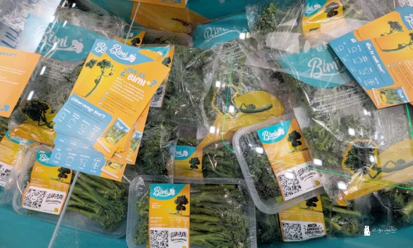 Bimi y Love Klabaza enamoran al retail y ahora también Japi, Saiko y Chocostar con tomate 3