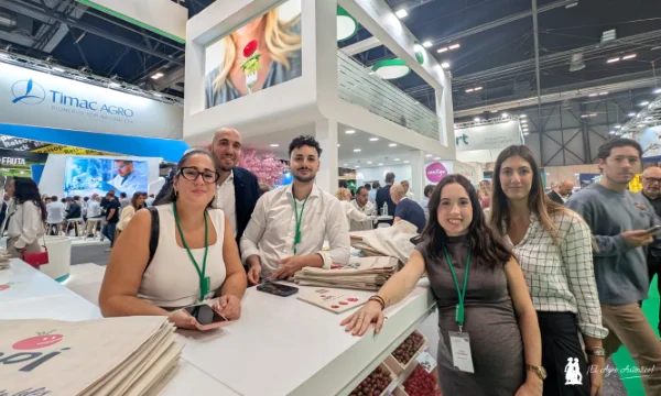 Bimi y Love Klabaza enamoran al retail y ahora también Japi, Saiko y Chocostar con tomate 5