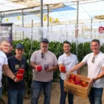 Alejandro José Miguel y Paco de HM.Clause con Carlos y Paco de Agroponiente y las variedades Serket y Nesmet / agroautentico.com