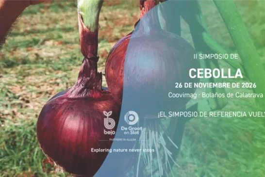 Día 26 de noviembre. II Simposio de Cebolla de Bejo en Bolaños de Calatrava
