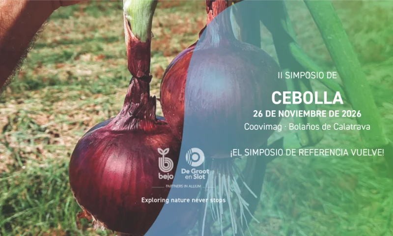 Día 26 de noviembre. II Simposio de Cebolla de Bejo en Bolaños de Calatrava