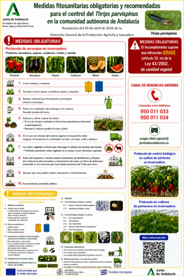 Thrips parvispinus medidas fitosanitarias obligatorias y recomendadas / agroautentico.com